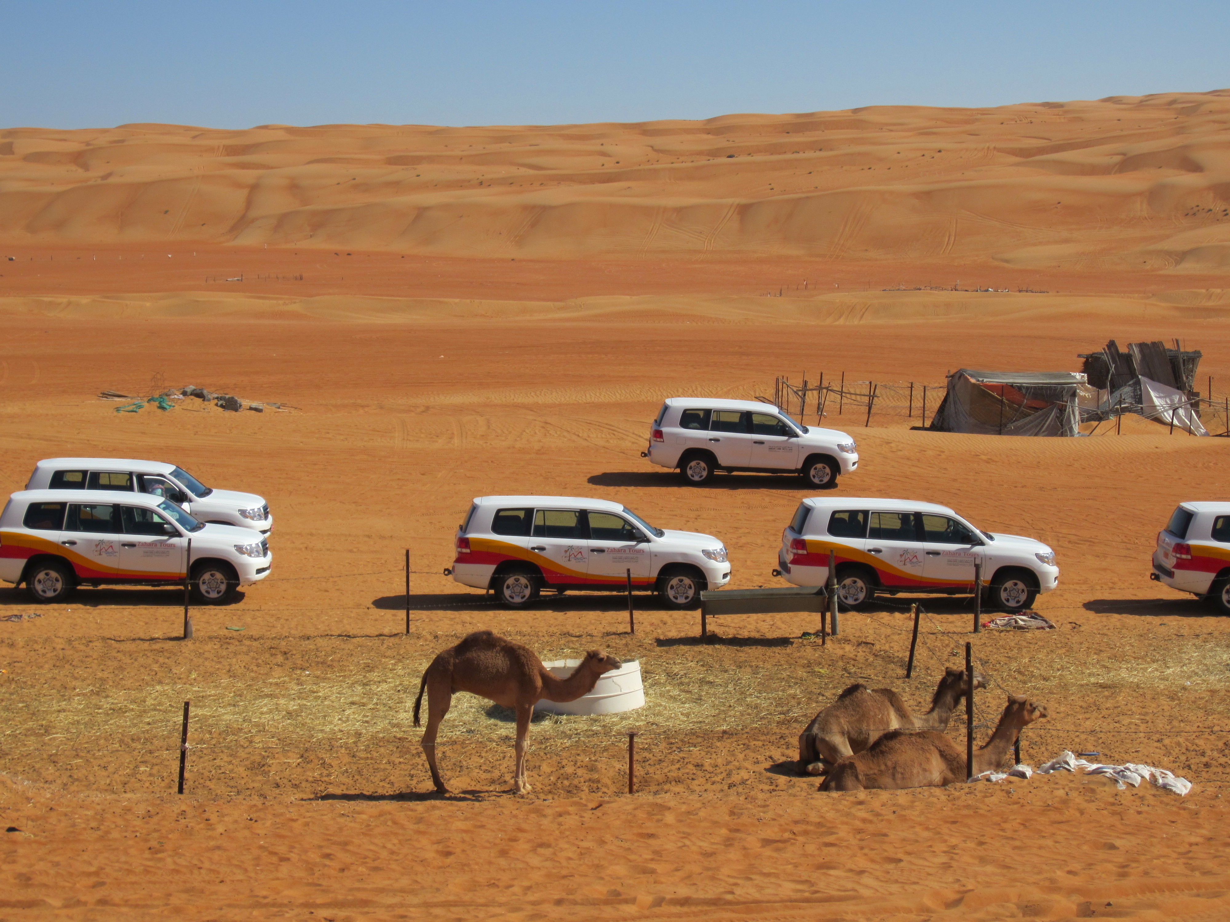 Самый караван. Транспорт для пустыни. Сафари в пустыне транспорт. Пустыня для конкурса. Авто на бездорожье пустыня.