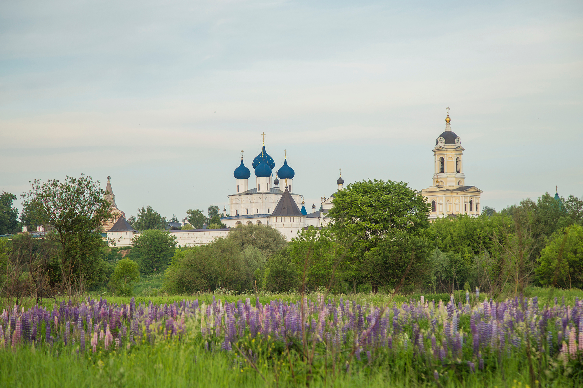 Гор Серпухов Высоцкий монастырь