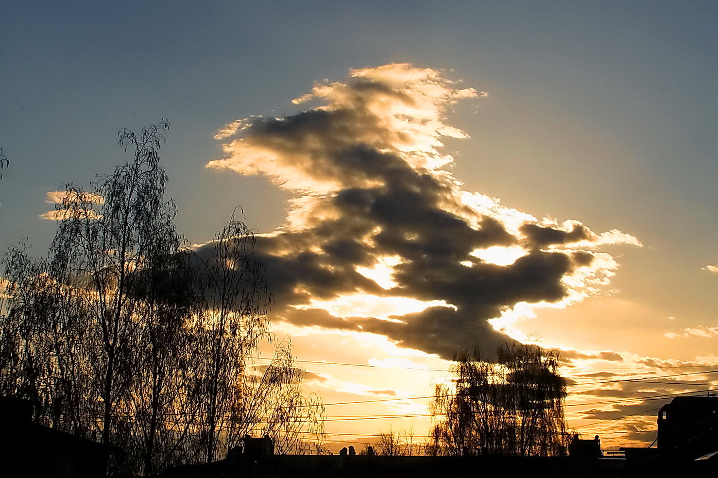 Ветер разгон т облака. Облака тучи. Облака форма. Облако в форме птицы вечером. Облако в форме Украины.