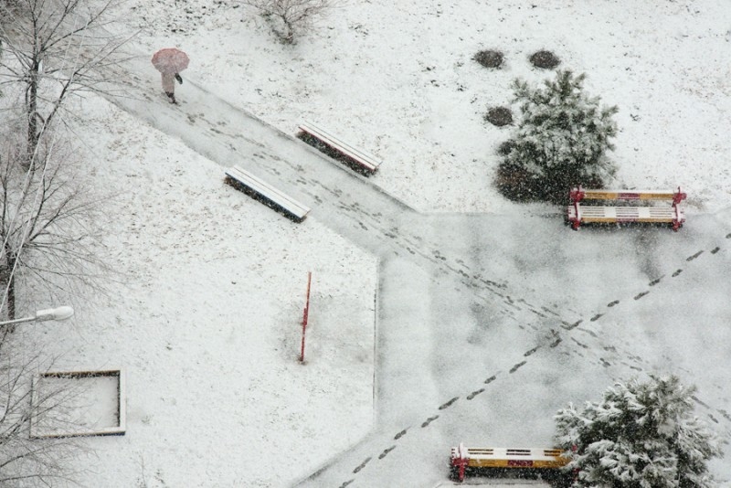 Example snow