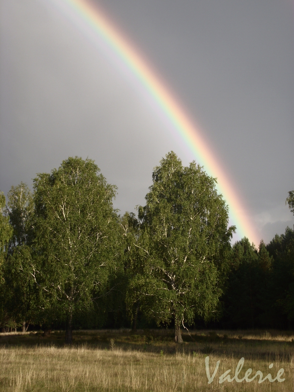 Как назвать фото на конкурс с природой Радуга - конкурс "Природа протестует" - Фотоконкурс.ру