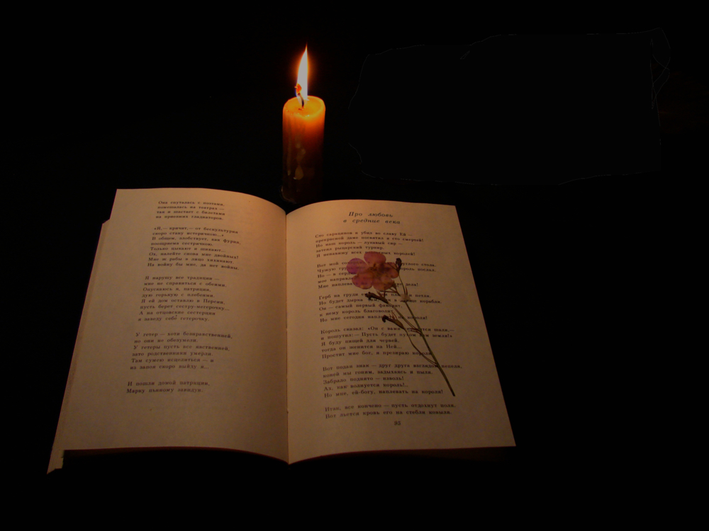 Стихотворение между строк. Цветок засохший безуханный забытый в книге вижу. Раскрытая книга со стихами. Красивые книги стихов. Засохшие цветы.