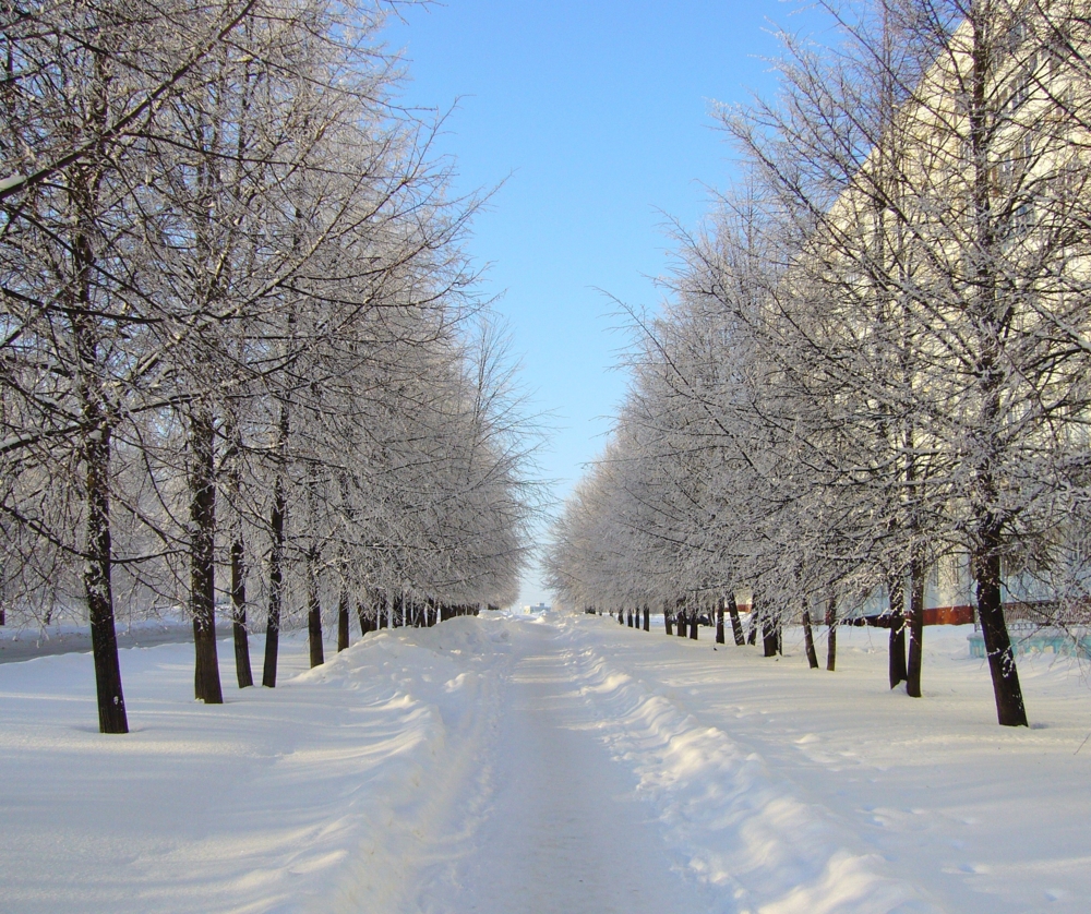 Нижнекамск фото города зимой