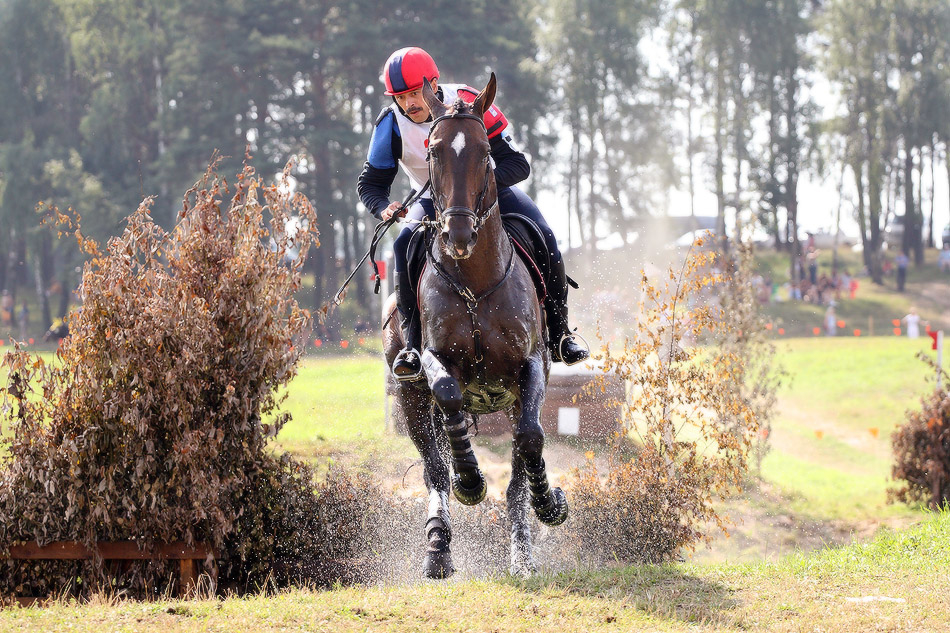 Eventing horses. Троеборье конный спорт. Кросс конный спорт. Троеборье кросс. Конное троеборье кросс.