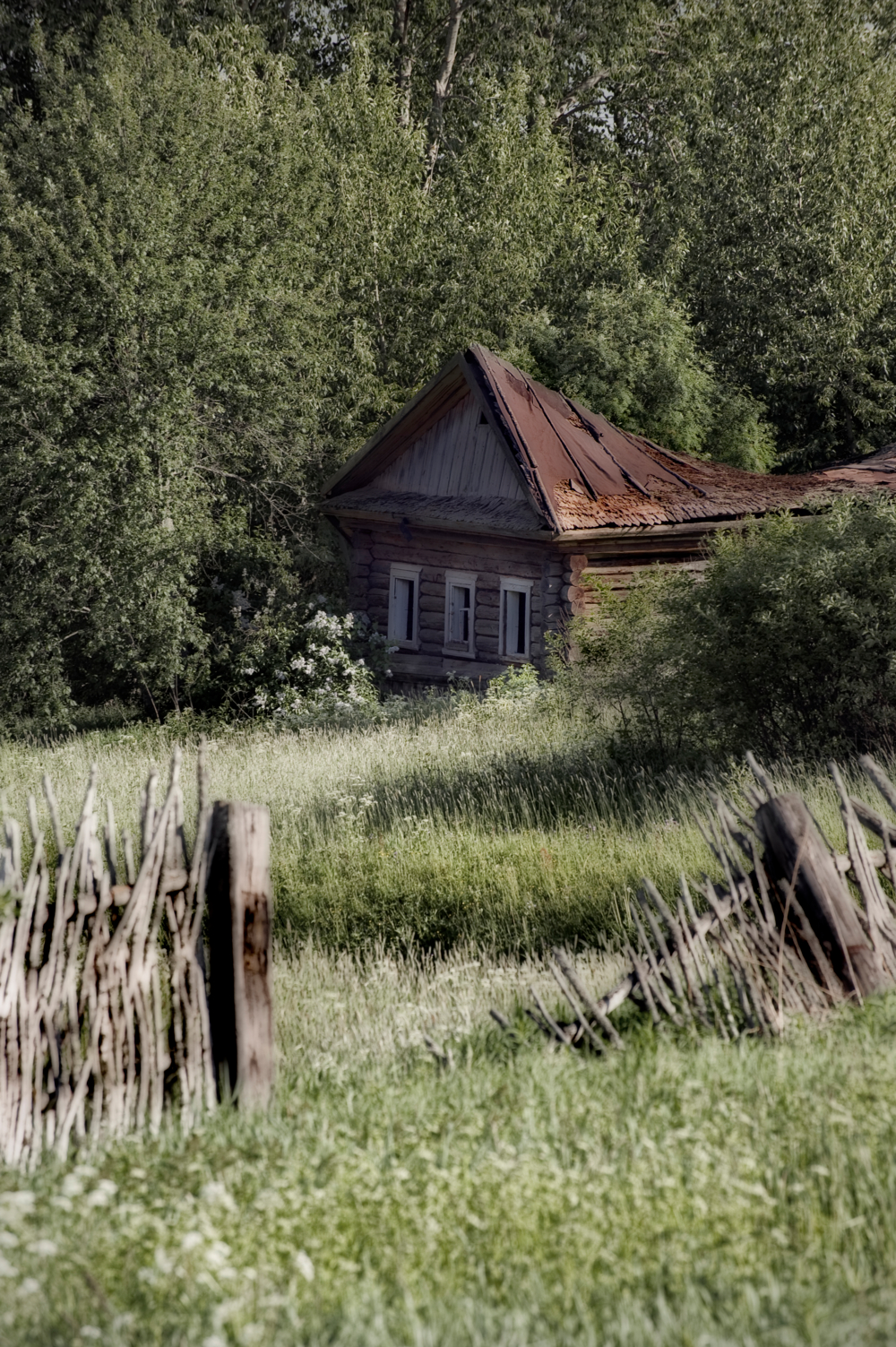 Зато природа. Деревенские мотив в треугольнике. Кондакино деревня. Село ЦЕЛЮГИН. Деревенские мотивы фото с хорошим разрешением.