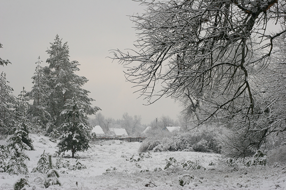 Падал старый снег. Зимняя деревня. Деревня зимой. Суровый зимний пейзаж. Зимний лес в деревне.