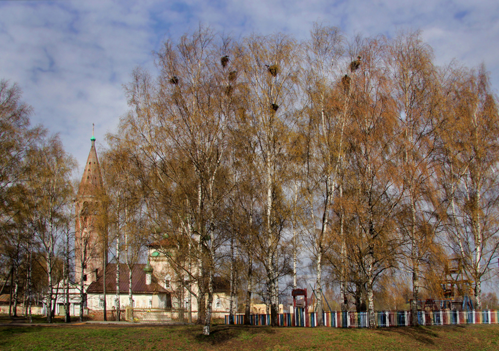 Грачи прилетели — конкурс "Гнездо (любители)" — Фотоконкурс.ру