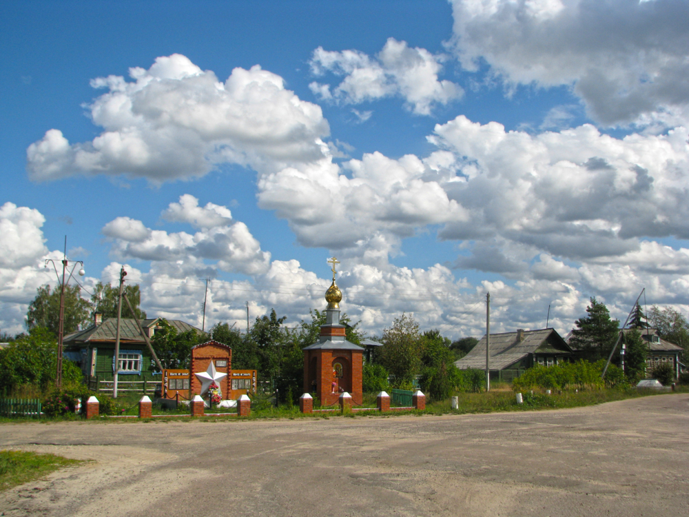 Деревня Яковлевская Орехово Зуевский район