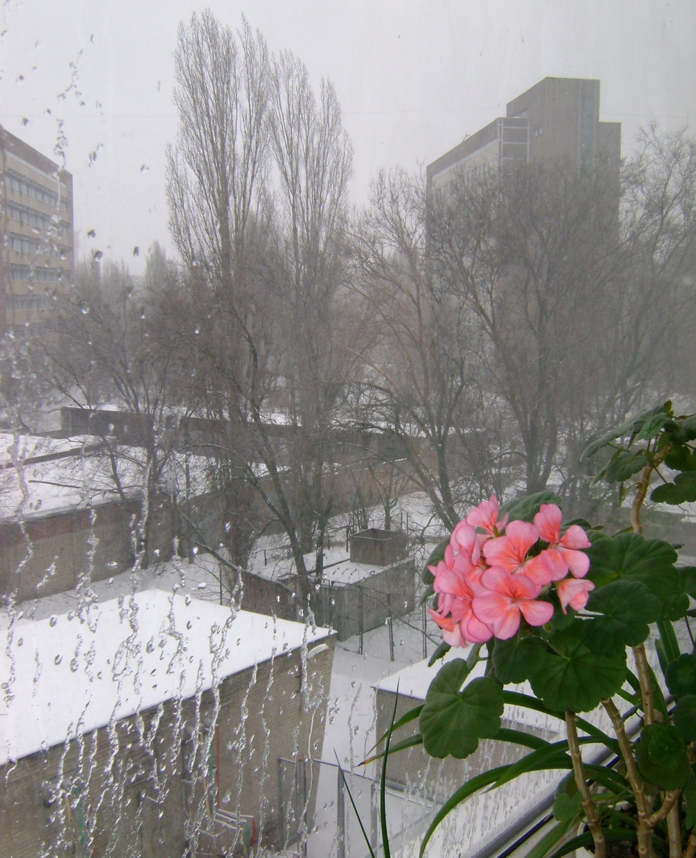 Фото весны из окна квартиры