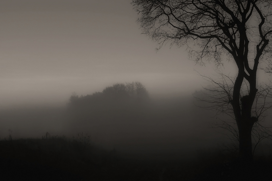Осень туман рассвет. Сквозь туманы. Тумане вокруг. Остров в тумане. Человек уходящий в туман.