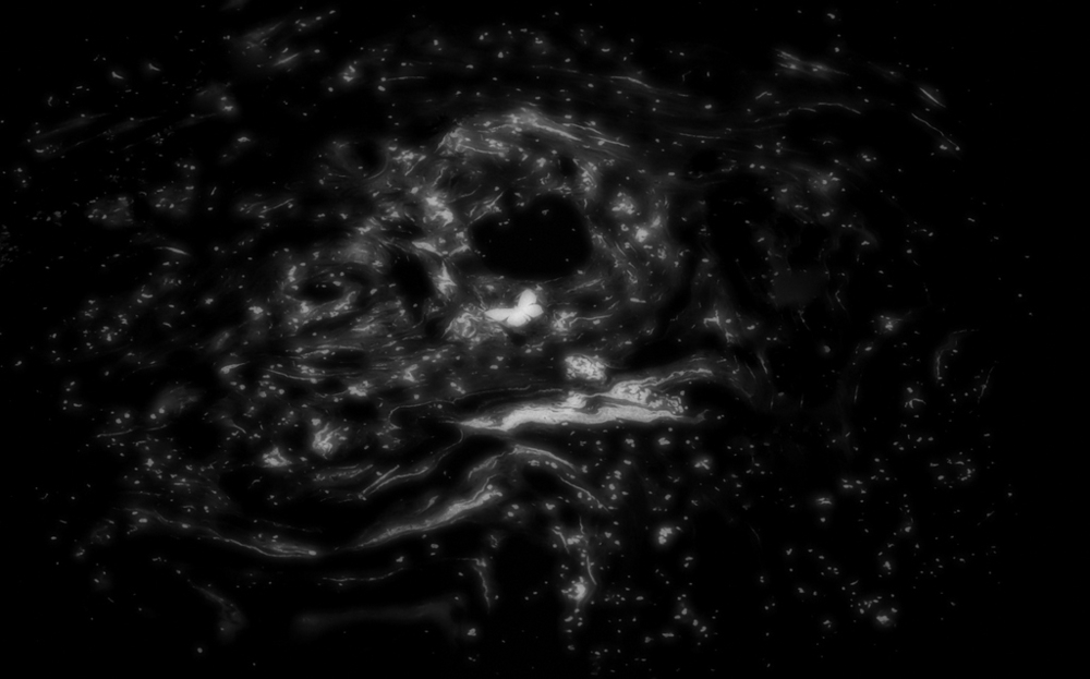 ***Сон - Явь^^^ — конкурс "Инь-Ян" — Фотоконкурс.ру