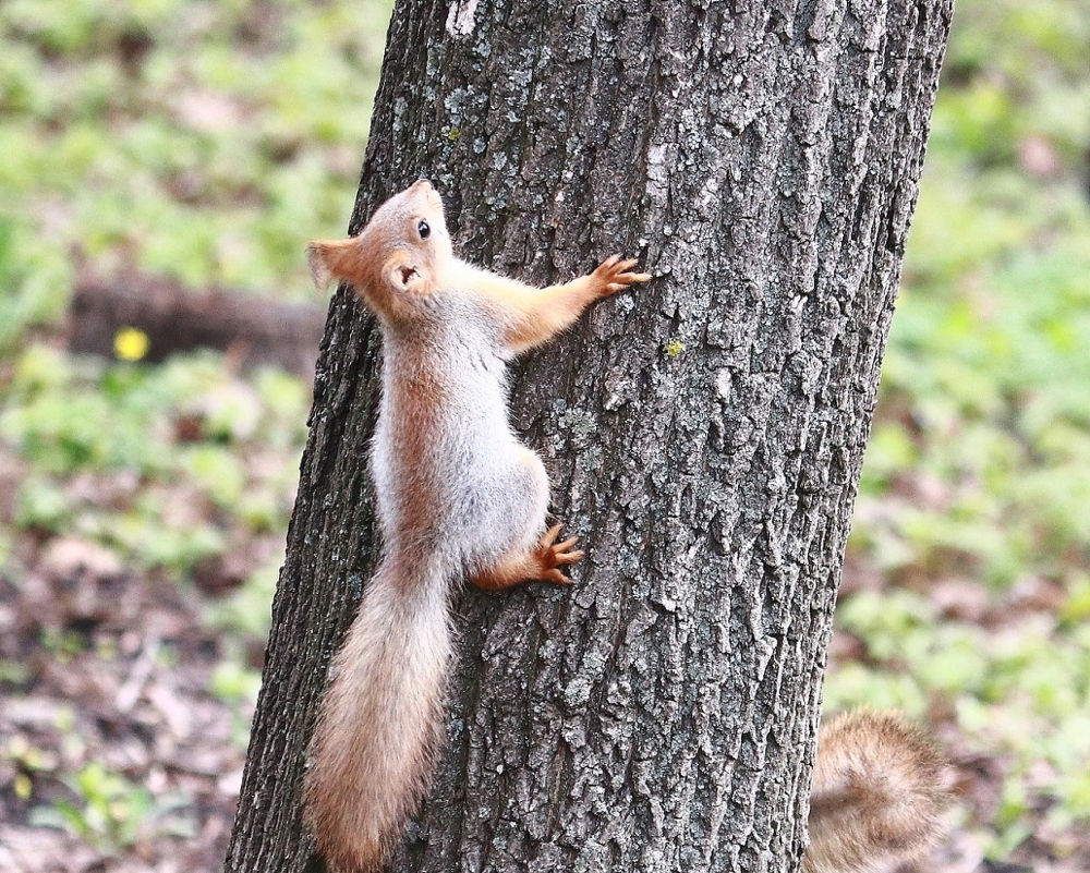 вышка из фильма вышка. Don't look up 2022. спанч боб игра приключение. диафильм николай носов. на заборе написано а там дрова лежат.
