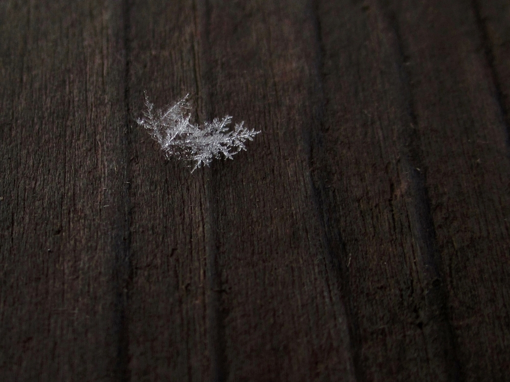 Тодес — конкурс "Одна снежинка ещё не снег" — Фотоконкурс.ру