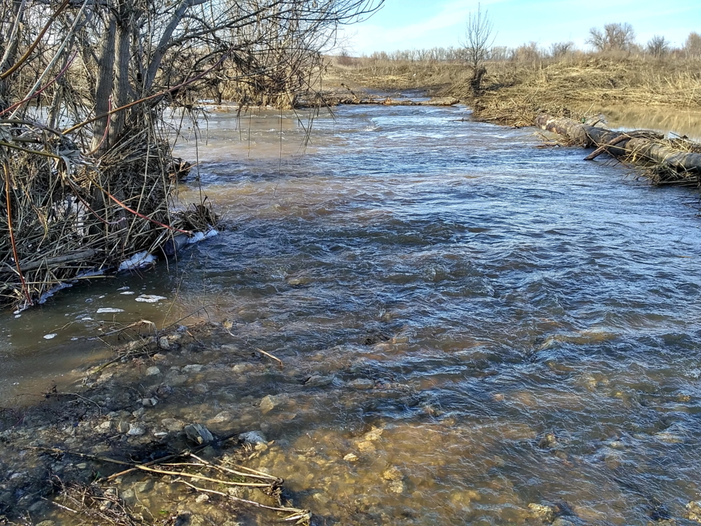 А по камушкам речка бежит — конкурс "Самые невероятные снимки воды ...