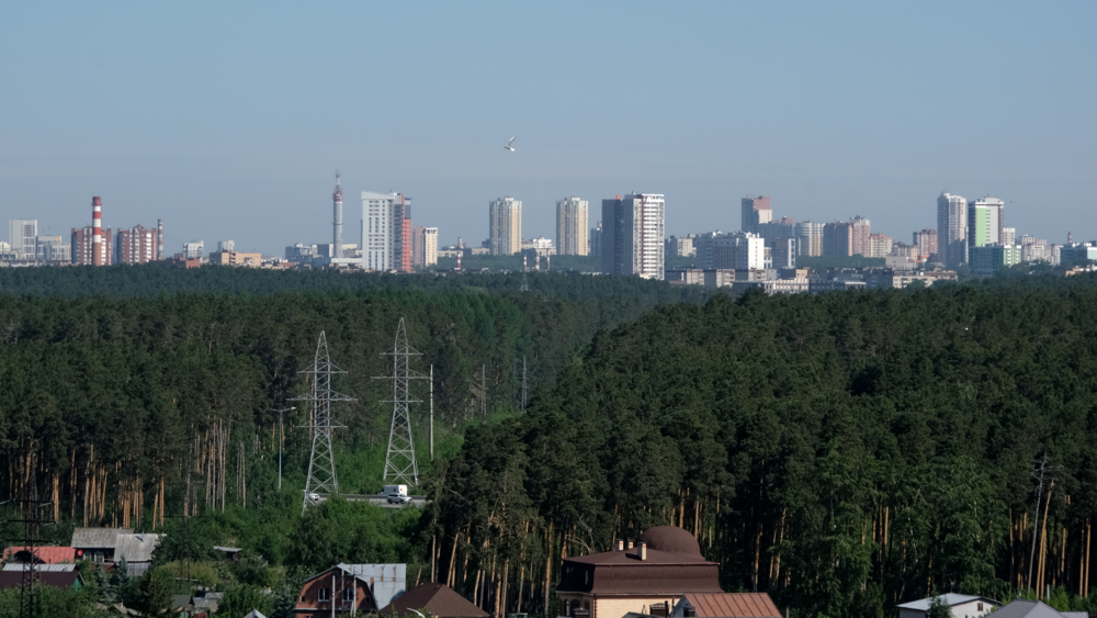 Сосновый бор  дышит за весь город...  конкурс "Сосны"  Фотоконкурс.ру