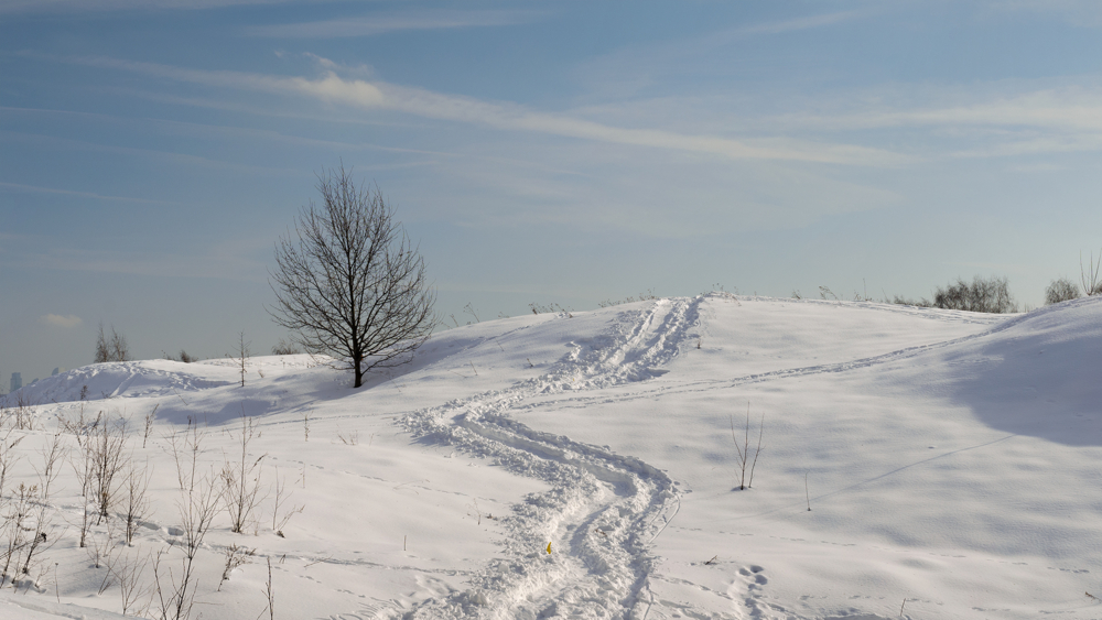 Легла волнистыми коврами Среди полей,вокруг холмов — конкурс ...