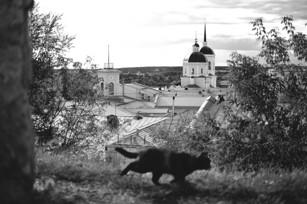 Тонкие энергии — конкурс "Городские шпили" — Фотоконкурс.ру