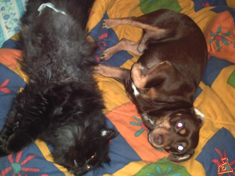 Жизнь прекрасна!!!