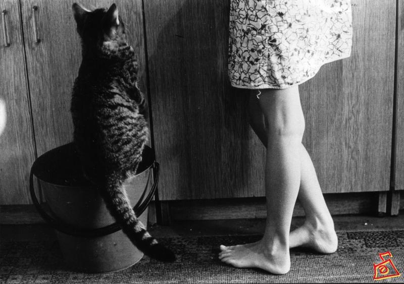 хочется вкусненького