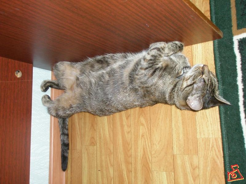 Я такая СОНЯ!