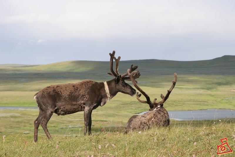 наедине