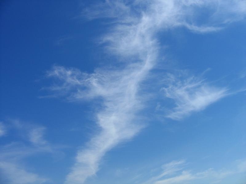 Облако похожее на птицу.