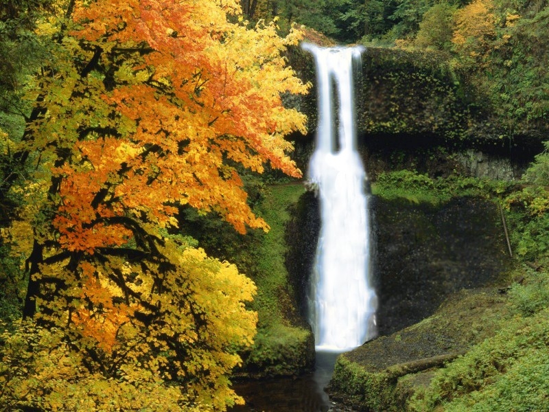 осень.... водопад.....