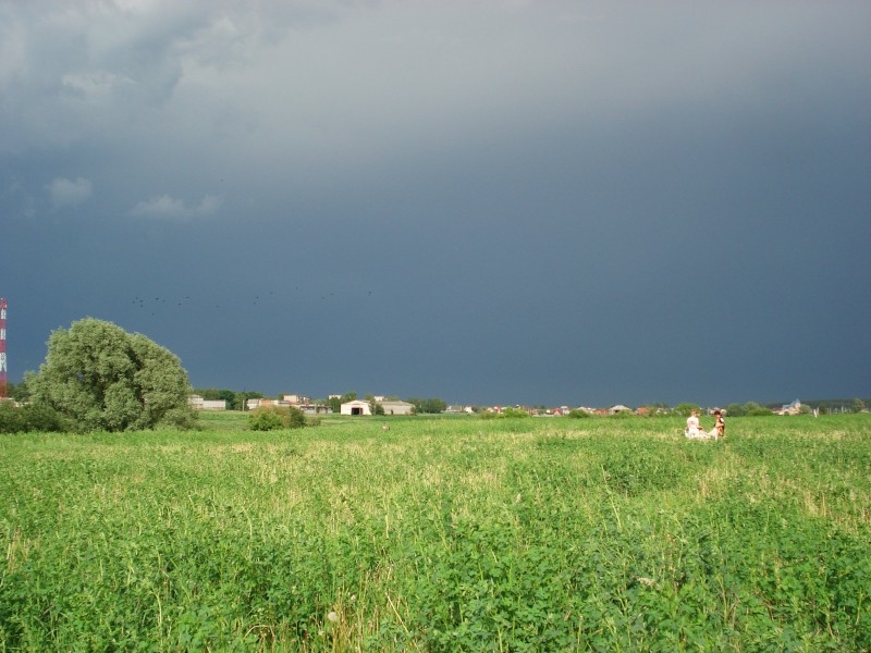 перед грозой