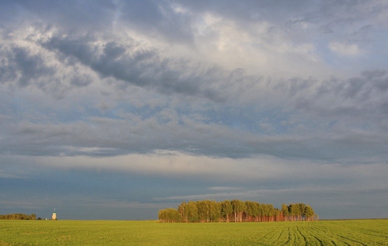 Перед грозой