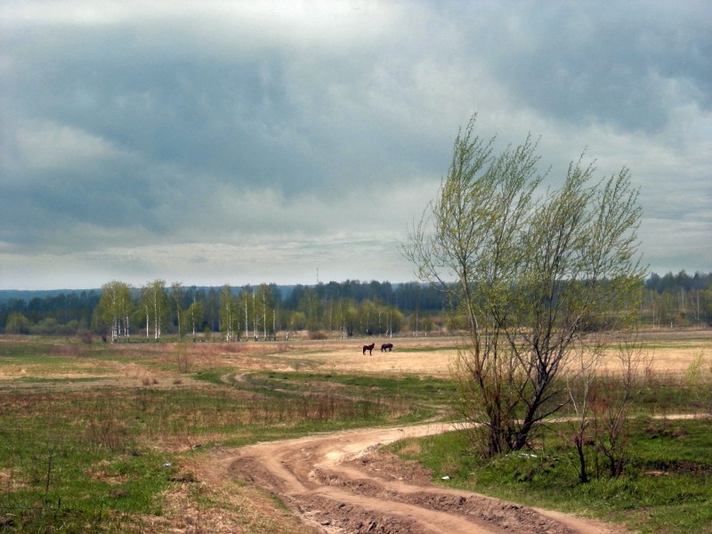 эх, российские дороги...