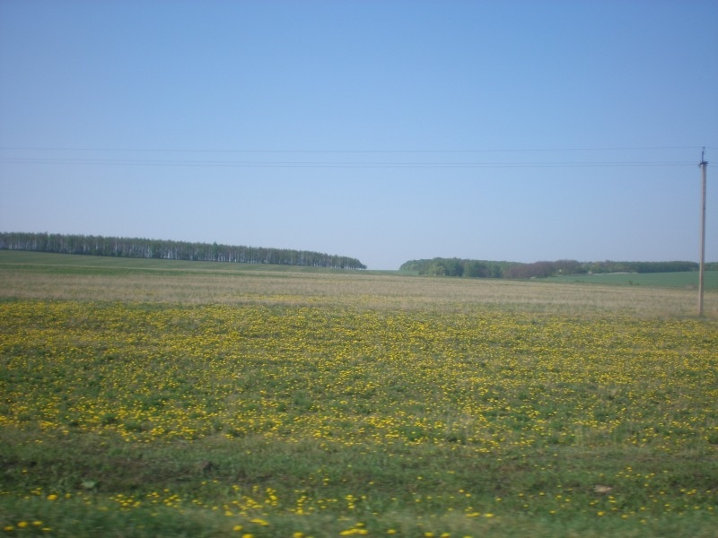 Весеннее поле