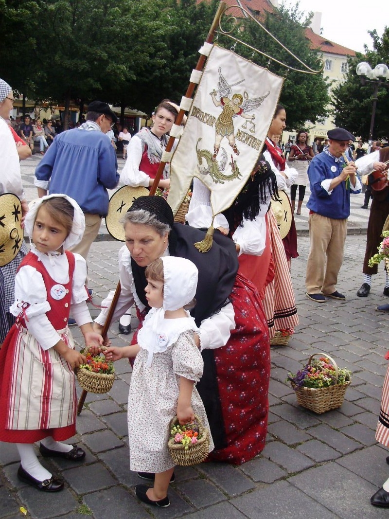 под родным стягом