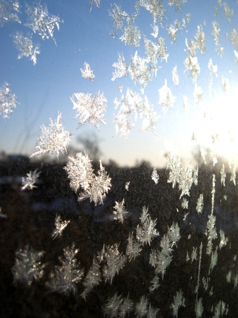 снежинки солнца