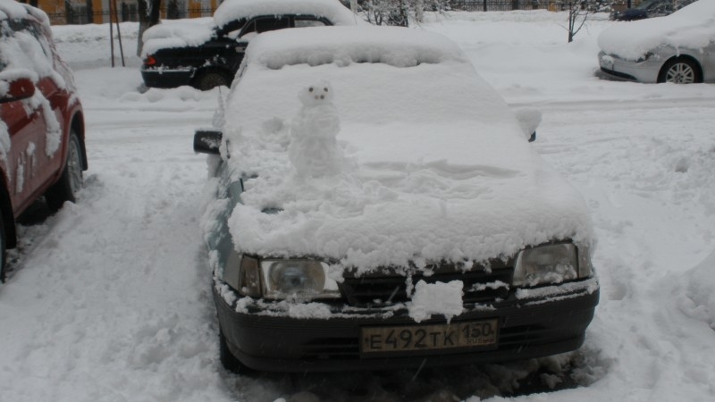 Снеговик-охранник