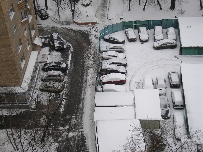 Городские "подснежники"