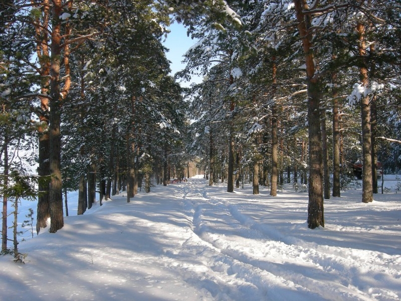 где бронепоезд не пройдет