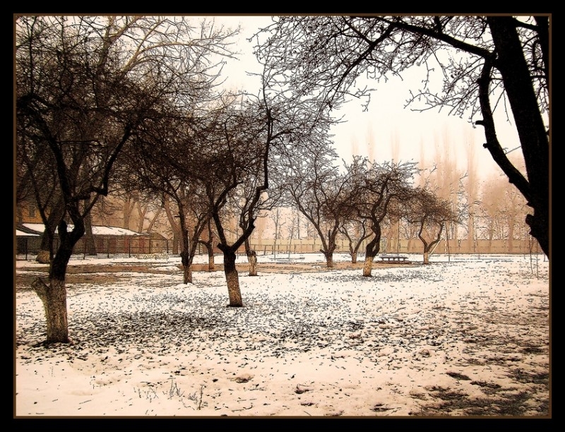 В  школьном парке.