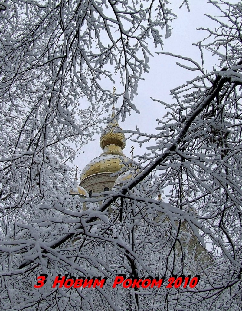 Уже красуется на книжной полке