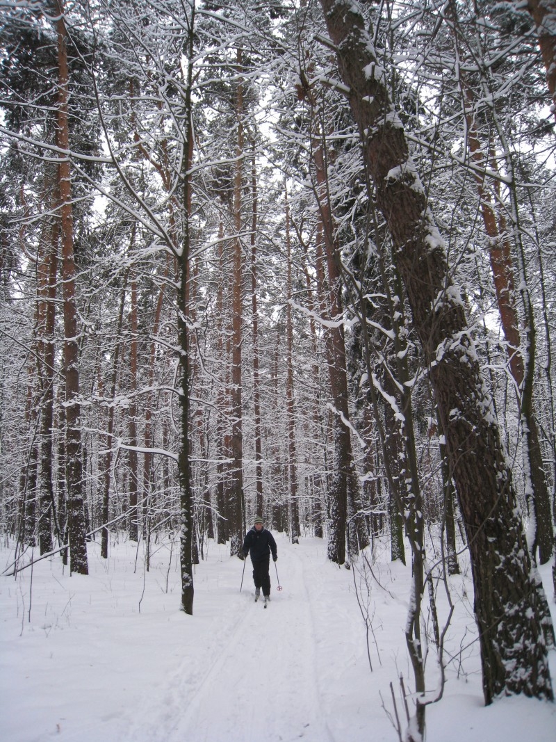 Лыжная прогулка