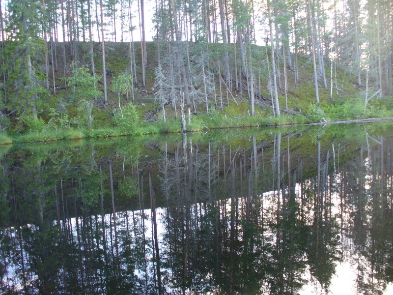 Зеркальное отражение