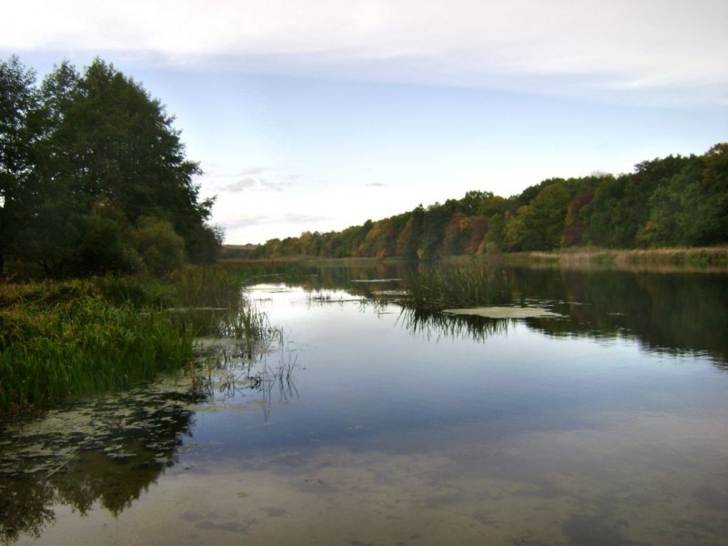 река "Воронеж"