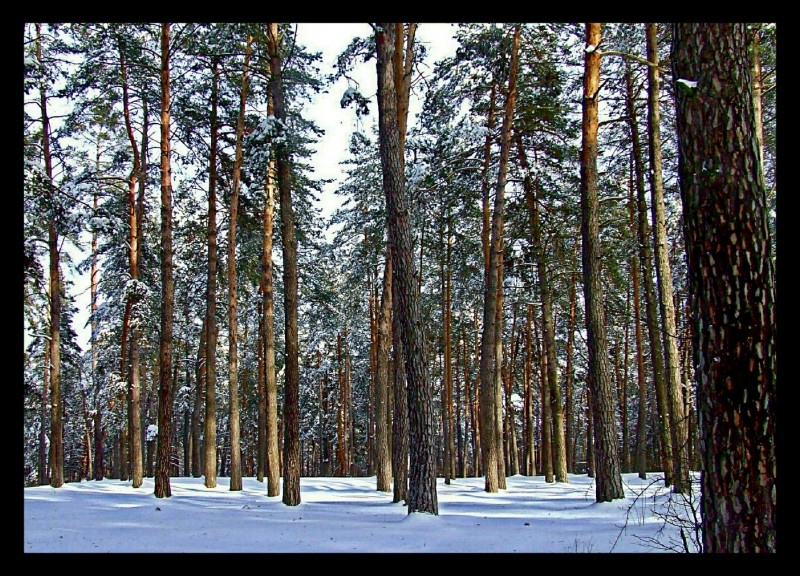 Зимнее солнцестояние.