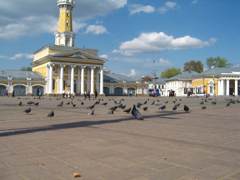 Голуби на "Сковородке"