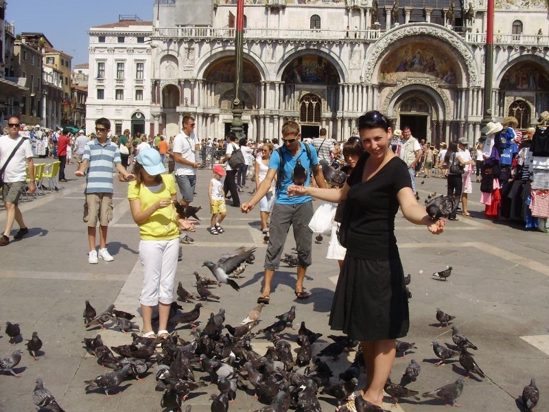 дружелюбные голуби венеции