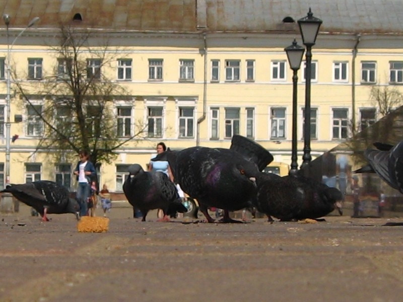 А вдруг отберет?