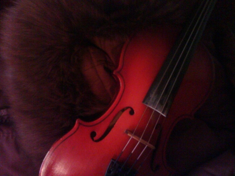 Моя скрипка
