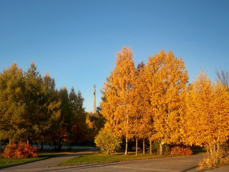 городская осень