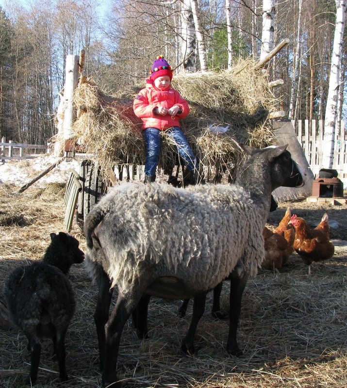 Короткая минута отдыха...