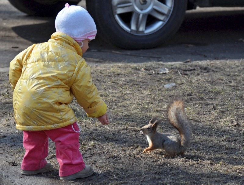 а орехи то есть?