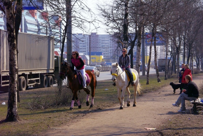 Городская кавалерия.